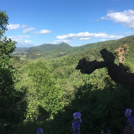 La Petite Adresse De Rose Maison De Vacances Entree Autonome Le Poujol-sur-Orb Exteriér fotografie