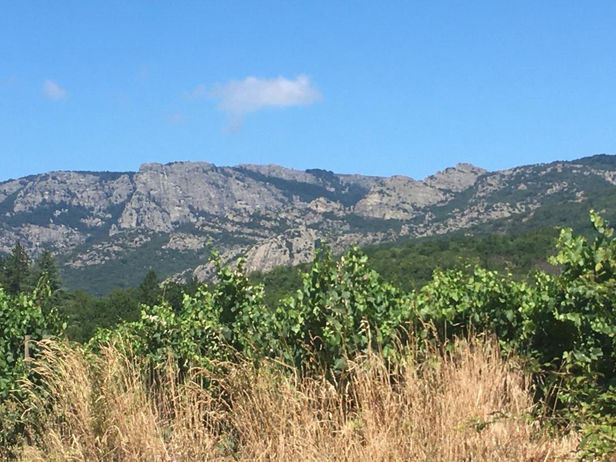 La Petite Adresse De Rose Maison De Vacances Entree Autonome Le Poujol-sur-Orb Exteriér fotografie