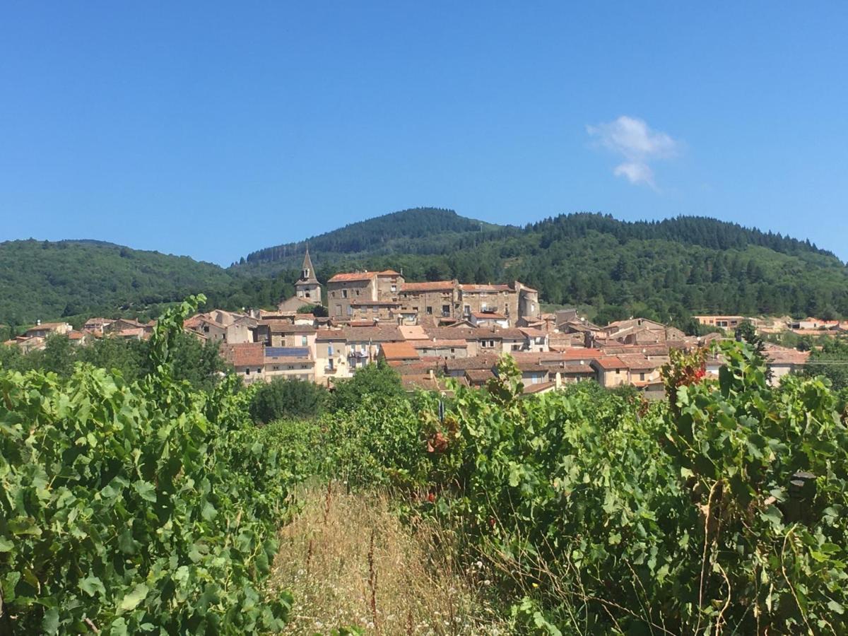 La Petite Adresse De Rose Maison De Vacances Entree Autonome Le Poujol-sur-Orb Exteriér fotografie